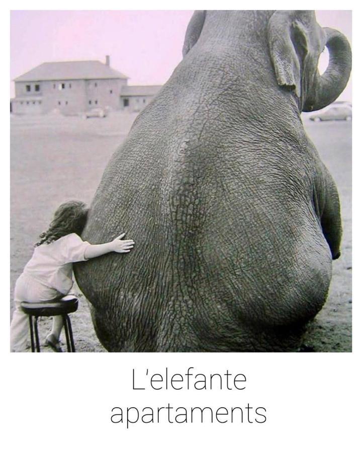 Elefante Appartamenti Pescara Luaran gambar